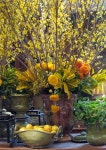 꽃다비forsythia | Forsythia에 관한 19개의 최상의 Pinterest 이미지 | 꽃꽂이, 꽃 및 꽃장식 Forsythia