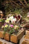 코아공예플라워샵 | Arrangement에 관한 586개의 최상의 Pinterest 이미지 | 꽃꽂이, 꽃장식 및 공예 Arrangement