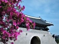 몽블랑제진주점 | Jinju 진주