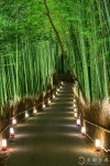 Japan ❤에 관한 58개의 최상의 Pinterest 이미지 Japan ❤