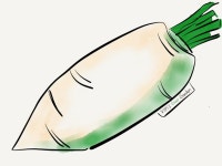 연하1교(하) | vegetable-turnip-korean style 다리를 연상케함