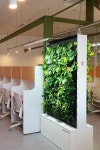 실내 수직정원 나아바 스터디카페 인테리어 Indoor... 수직정원 나아바 스터디카페 인테리어 Indoor Vertical Garden...
