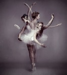 발레리라플레르 | balerina.jpg (888×1000) | 발레