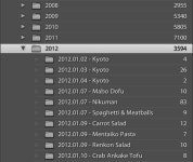 Lightroom 4에 관한 상위 25개 이상의 Pinterest 아이디어 | 사진 팁 및 디지털 사진