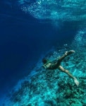 Amazing World님이 Underwater에 올린 아이디어 | 다이빙