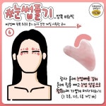 얼굴경락에 있는 선임 신님의 핀 - 2021 | 얼굴