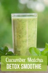 체리쉬디톡스(CHERISH DETOX) | Detox!에 관한 42개의 최상의 Pinterest 이미지 | 건강 음료, 집에서 하는 치료법 및 건강한 식단 Detox!