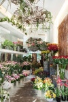 코아공예플라워샵 | Arrangement에 관한 586개의 최상의 Pinterest 이미지 | 꽃꽂이, 꽃장식 및 공예 Arrangement