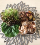 오로라 ohrora on Instagram: “오늘은 상추쌈🥬과 함께~ 고기가 어중간하게 남아서 쇠고기 돼지고기 함께 ㅋㅋ . . 사실 좀 다른것들이...
