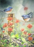티버스T'Birds | Bluebird and Indian Paintbrushoriginal watercolor by TivoliGardens, $95.00 | 새
