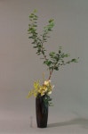 Flower arrangement에 있는 Grace N님의 핀