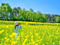 “7가구 살아요, 전국에서 제일 한적할 봄꽃 명소”… 모래에 둘러싸인 육지 섬