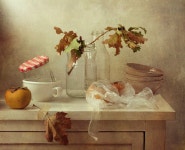더블유엑스엠스튜디오 | #still #life #photography • photo: *** | photographer: Xaomena | WWW.PHOTODOM.COM | 정물, 사진, 꽃 사진