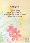 목요일입니다!