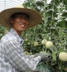 이암골 농업회사법인(주) | 새낭골 귀농일기 | 농촌, 2학년