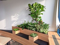 ECO PEOPLE 에코피플 : 그린테리어 토탈 케어 솔루션 | 식물, 조경, 화분