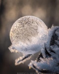 얼음꽃아이스크림성산점 - 마포구 월드컵북로 233 | Cold에 관한 44개의 최상의 Pinterest 이미지 | 스노우 아이스크림, 얼음 및 Mother nature Cold