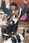 이공일칠구조네트워크 | Pin by shyfabulous on 비글 구조네트워크 | Terrier, Dogs, Animals
