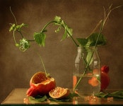 더블유엑스엠스튜디오 | #floral #still #life #photography • photo: *** | photographer: Xaomena | WWW.PHOTODOM.COM | 꽃 사진, 사진, 꽃