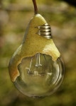 포토샵 작품 - Google 검색 | Photo manipulation, Photoshop artwork, Photoshop projects