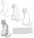 이남순 헤어스케치 | Other stuff에 관한 7개의 최상의 Pinterest 이미지 | 레이어 헤어스타일, Cute kittens 및 Ponchos Other stuff