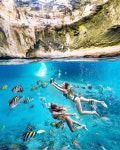 Bucketlist tip: Swim with in Exumas Bahamas. Courtesy of @franceduque | 수중 사진, 다이빙, 해양 생물