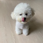 니가골라아이스크림할인점 | 아이스크림은 내가 먹는데 혀는 왜 니가 낼름거리냐? #이억이는_거꾸로해도_이억이 아이스크림은 내가 먹는데 혀는 왜...