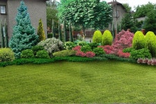 중원분재.조경농원 | Pin by 풀니음 on 분재 in 2023 | Front garden landscape, Privacy landscaping backyard, Small yard landscaping