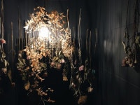 연남동 카페, 벌스(vers_gardening) : 네이버 블로그 | 블로그