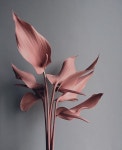 꽃수예뜨개방 | Flora에 있는 Viktoria Didkovskaia님의 핀 | 핸드메이드