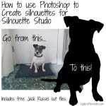 Photoshop에 관한 11개의 최상의 Pinterest 이미지 | 강좌, 그래픽 및 도구 Photoshop