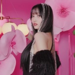 M O M O M O M O | 모모