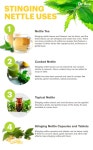 삼락한약초&허브 | Herbs에 관한 83개의 최상의 Pinterest 이미지 | 약초, 집에서 하는 치료법 및 요리법 Herbs