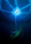 Scuba에 관한 10개의 최상의 Pinterest 이미지 | 다이빙, 수중 사진 및 스쿠버 다이빙 Scuba