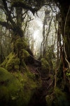 Photos에 관한 25개의 최상의 Pinterest 이미지 | Paisajes, 숲 및 Diagon alley Photos