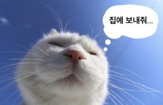 집에 보내줘...