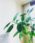 Pin page #나무 #초록이 😮🌿