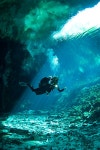씨앤(SEA N)스쿠버 | 37 best Ocean. images on Pinterest | 다이빙, 스노클링 및 스쿠버 다이빙 Ocean.
