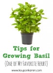 Gardening - Herbs에 관한 98개의 최상의 Pinterest 이미지 | 허브 정원, 화분 키우기 및 정원 가꾸기 Gardening - Herbs