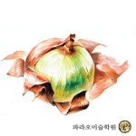 파라오프리미엄미술학원 | 디자인계열 입시전문 파라오미술학원 : 네이버 블로그