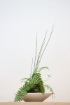 다마.그린주희플라워점 | my kokedama | 화분