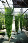 도시창조종합건축사사무소주 | 도시재생 05 MFO-Park(Neu-Oerlikon) Pin on Engineering