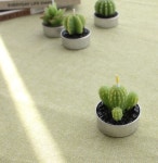 캔들/아로마캔들/캔들DIY/인테리어소품/ | 양초 만들기, 소이캔들, 양초