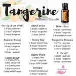 Image result for tangerine diffuser blend | 아로마테라피