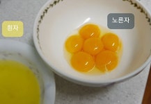 달걀 흰자와 달걀 노른자 Egg Whites and Egg Yolks 달걀 흰자와 달걀 노른자 Egg Whites and Egg Yolks in 2024