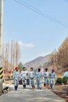 이공일칠구조네트워크 | Pin by shyfabulous on 비글 구조네트워크 | Dolores park, Park, Travel
