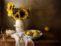 더블유엑스엠스튜디오 | photo: *** | photographer: Xaomena | WWW.PHOTODOM.COM | 정물