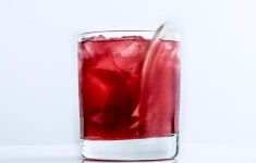 Roc vodka recipe에 관한 상위 25개 이상의 Pinterest 아이디어 | 술, 샷 레시피 및 비치 칵테일