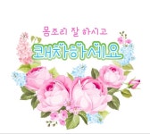 몸조리 잘 하시고 쾌차하세요