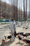 이공일칠구조네트워크 | Pin by shyfabulous on 비글 구조네트워크 | Fish, Sport